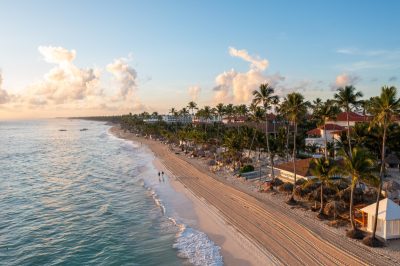 aerial view of palm trees