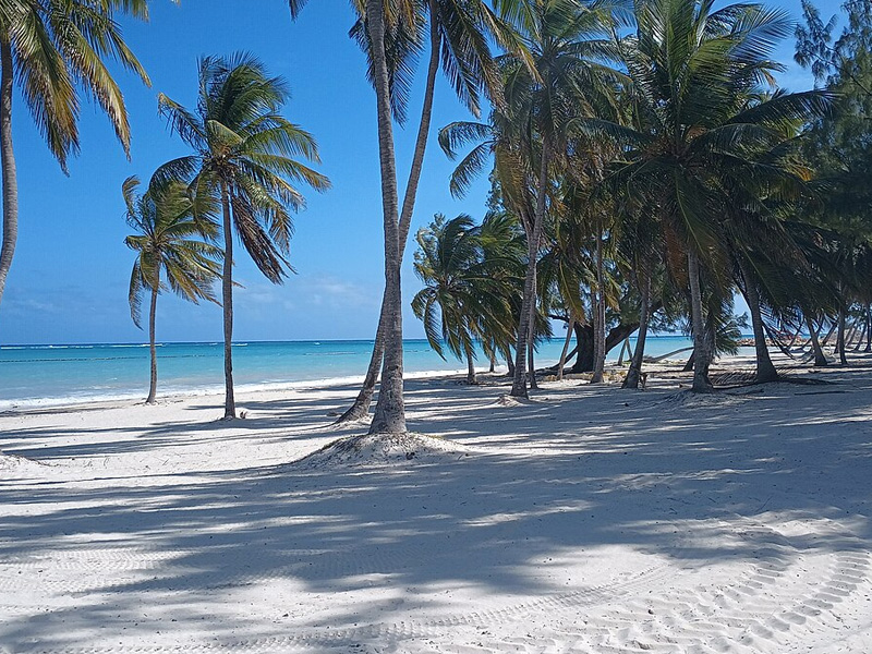 Why Cap Cana feels different: Design, planning, and lifestyle at scale